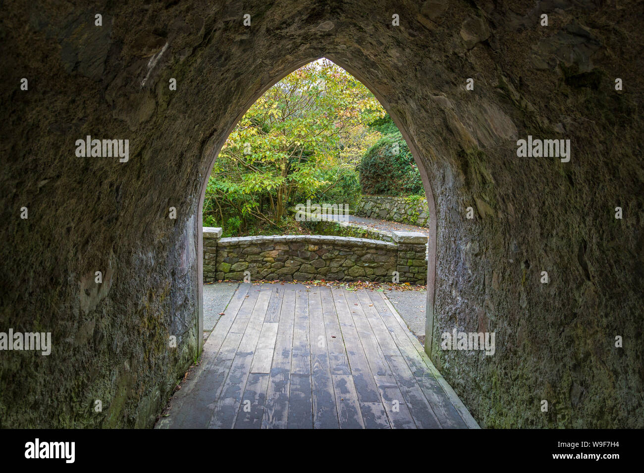 tunnel in the Tollymore Forest Park Stock Photo