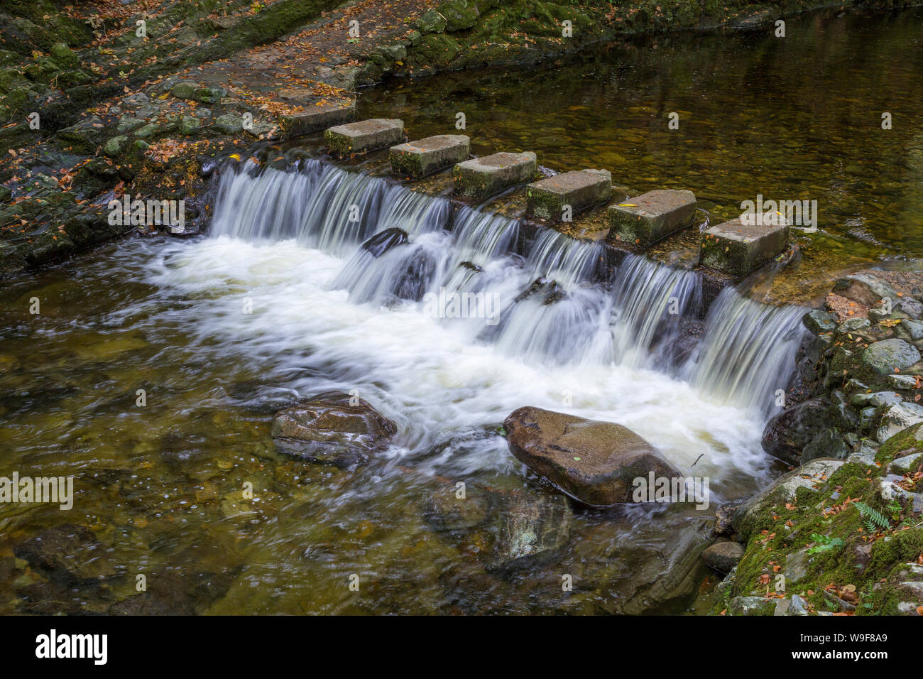 Stepping in water hi-res stock photography and images - Alamy