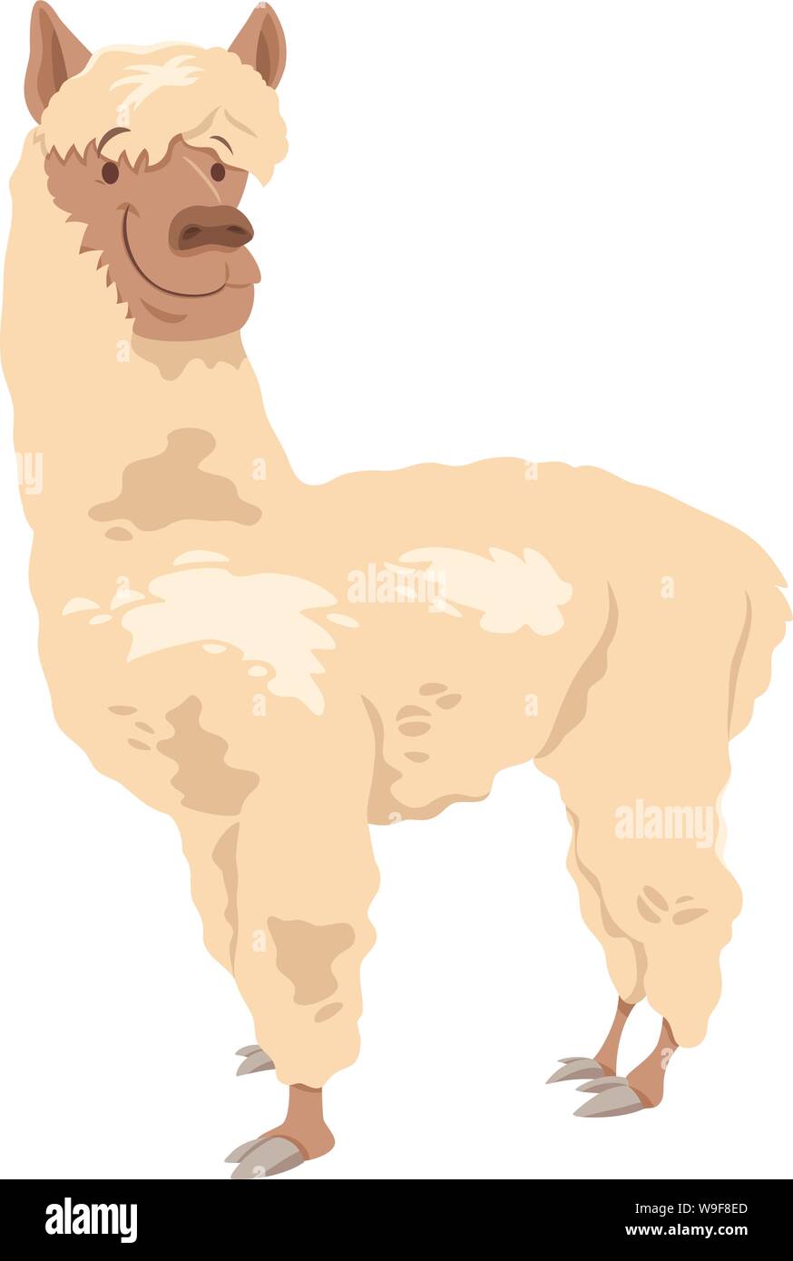 Cartoon Illustration of Funny Llama or Alpaca Farm Animal Character Stock Vector