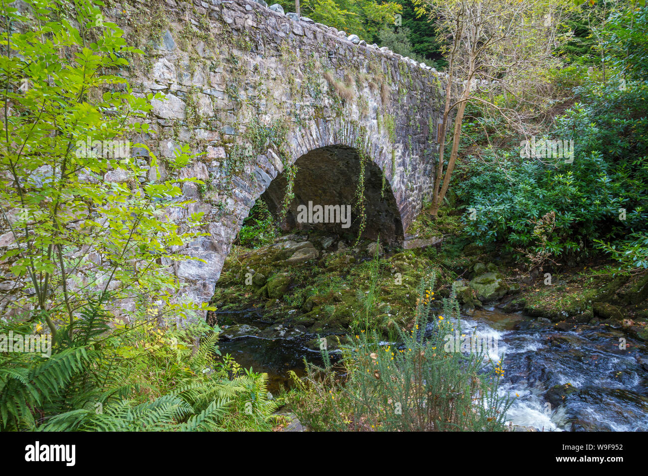 Old Parnell Bridge in the Tollymore Forest Park Stock Photo