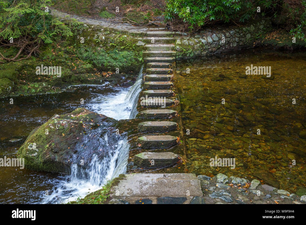 Stepping Stones in the Tollymore Forest Park Stock Photo