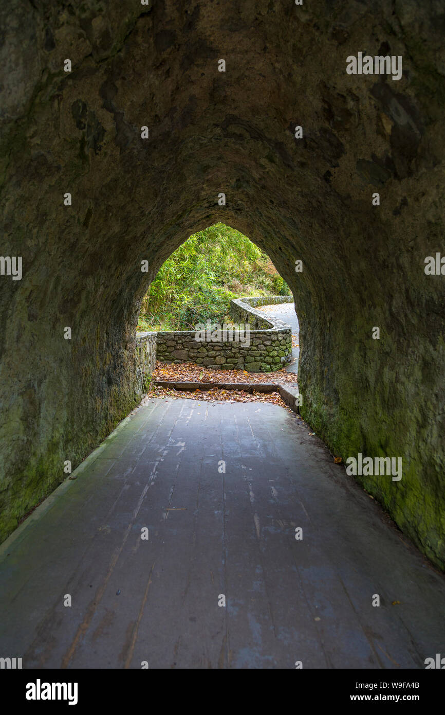 Tollymore Forest Park, Newcastle, Co Down, Northern Ireland Stock Photo