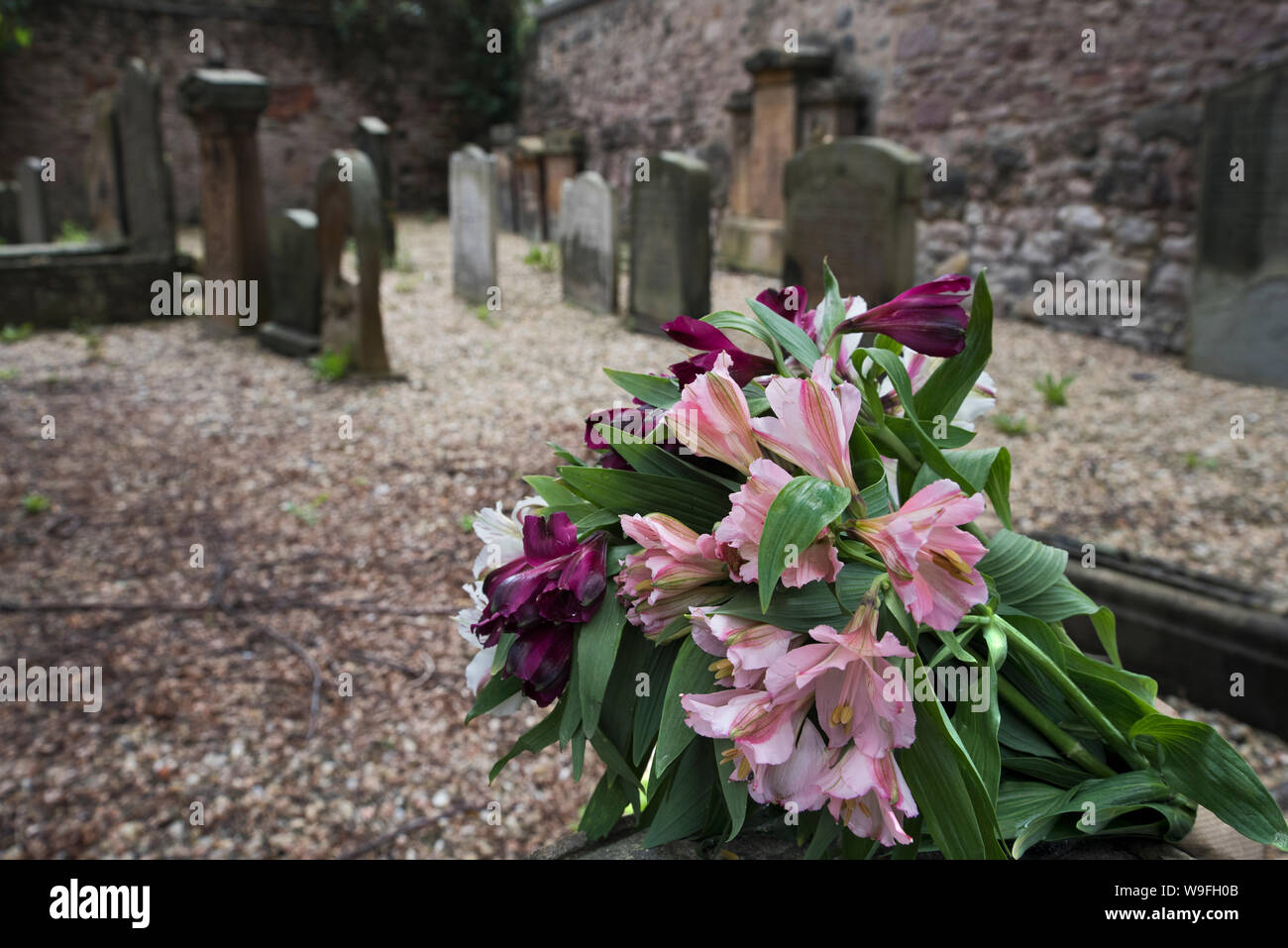 Flowers left at the Jewish Cemetery in Newington, Edinburgh, Scotland, UK. Stock Photo