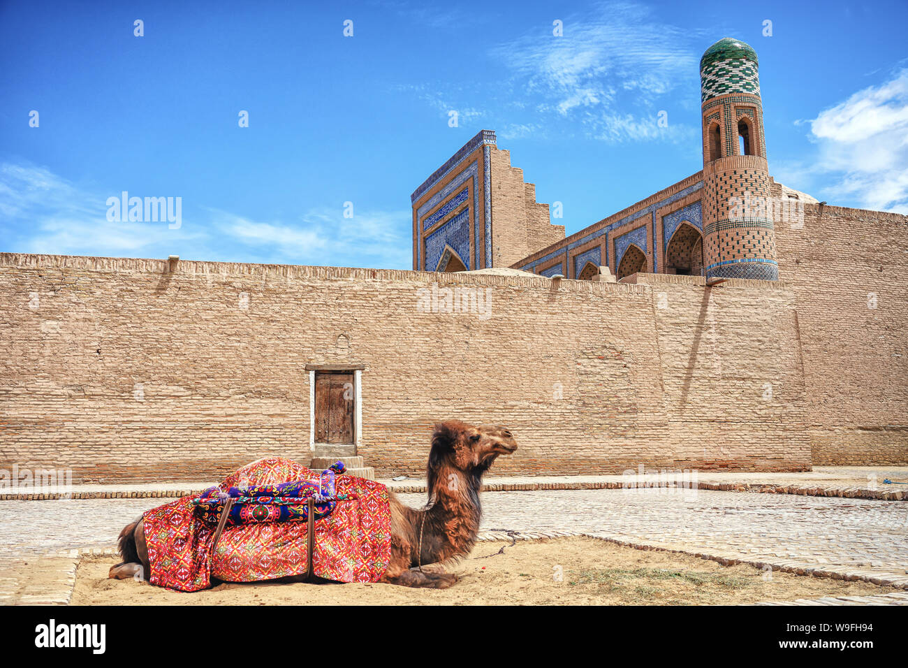 Camel resting outside city walls Stock Photo