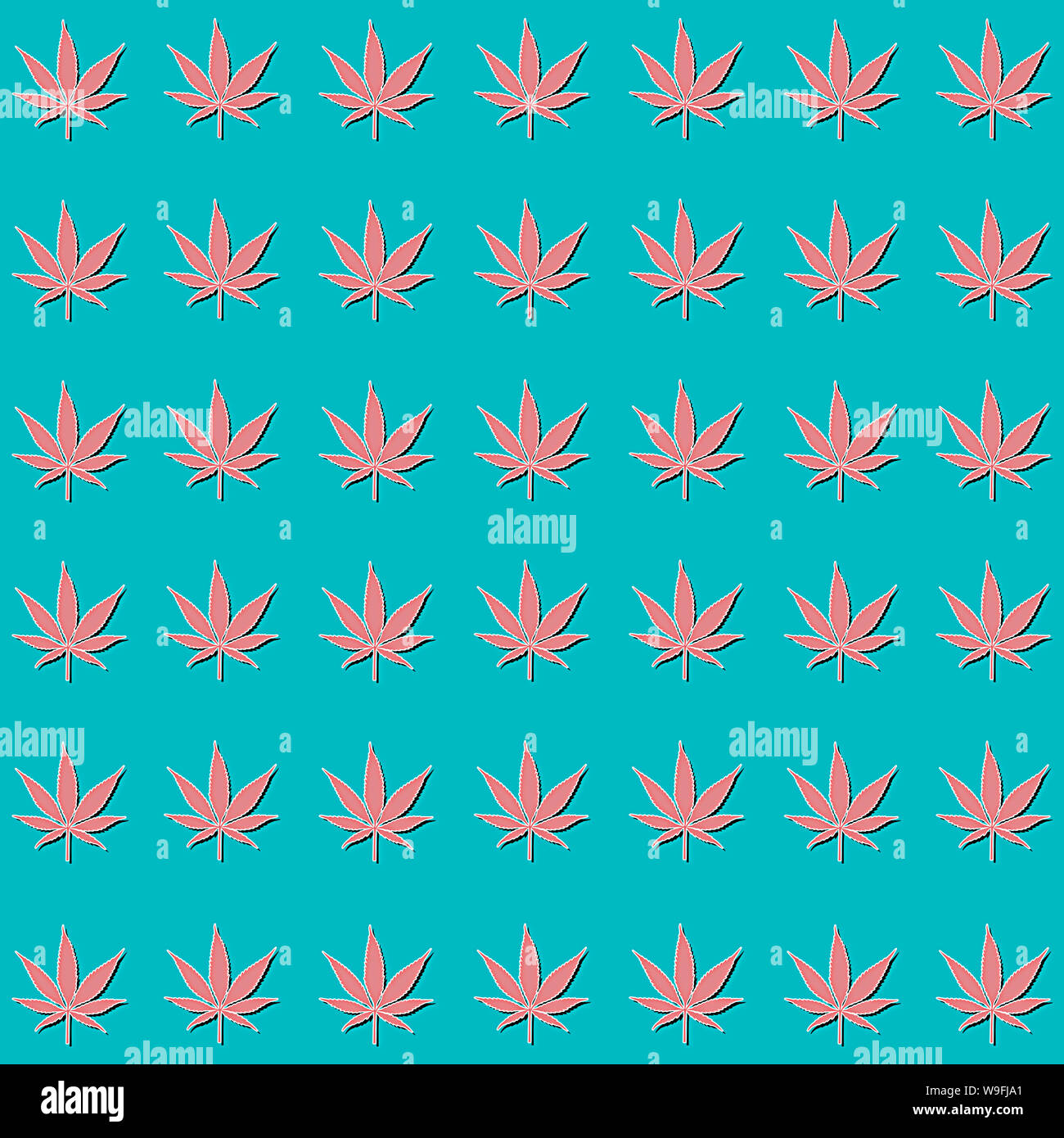 pink cannabis leaves isolated on blue background Growing medical marijuana cbd pattern Stock Photo