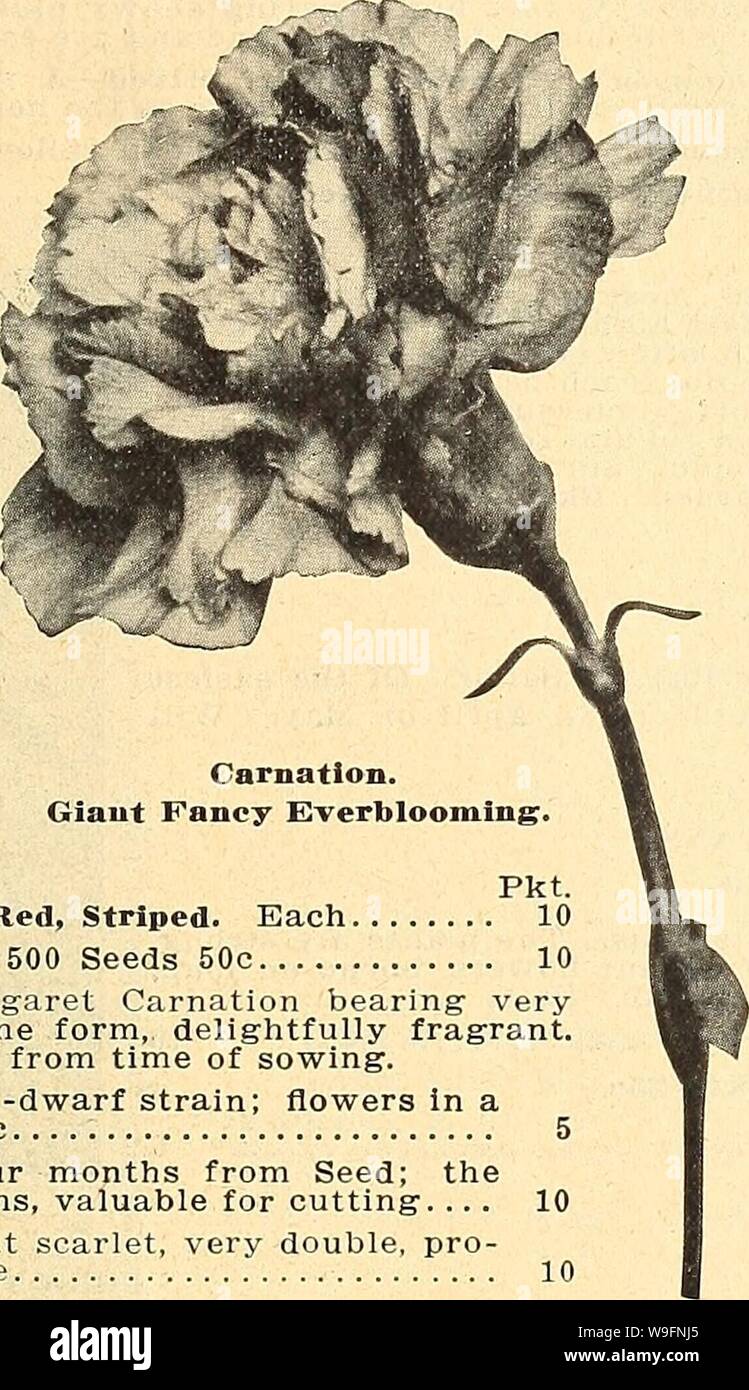 Archive Image From Page 58 Of Currie's Farm & Garden Annual. Currie's Farm  & Garden Annual : Spring 1922 47Th Year Curriesfarmgarde19Curr 5 Year: 1922  ( List Of Choice Flower Seeds For