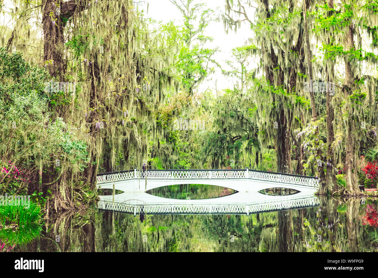 Perfect reflection of a bridge in South Carolina, between trees covered with spanish moss. Stock Photo