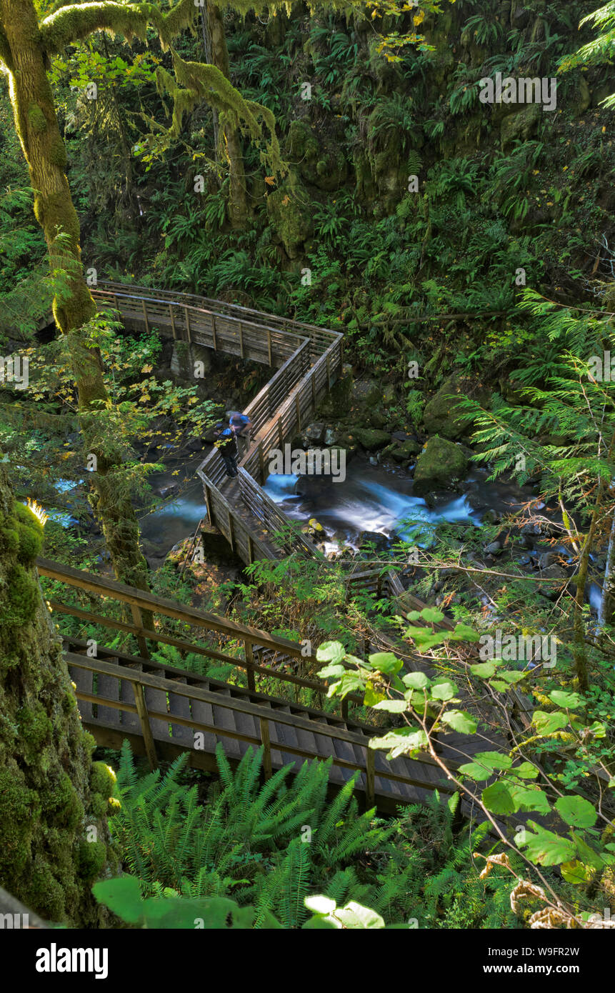Boardwalk and steps lead to the base of Majestic Falls in Oregon's