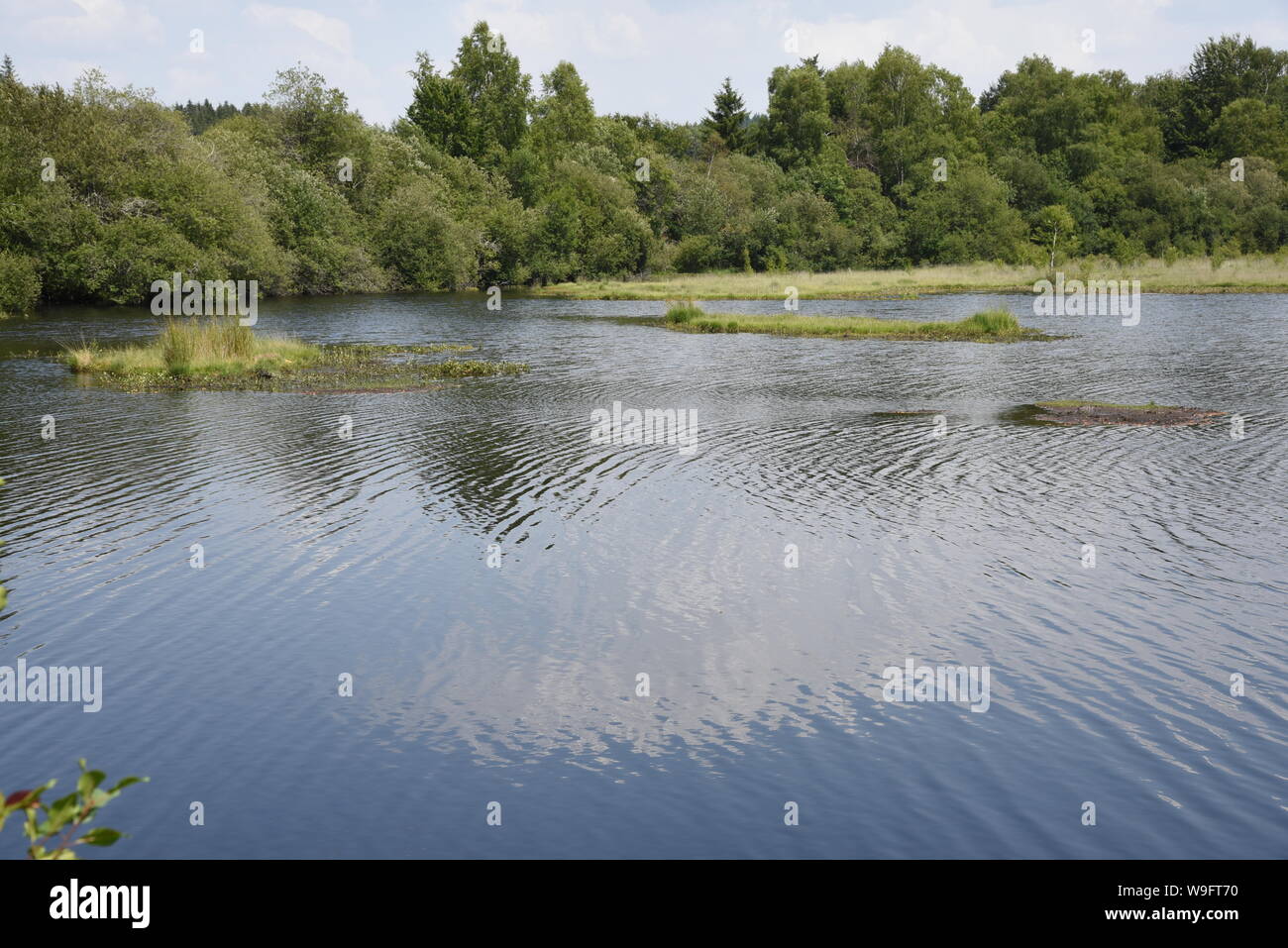 The Etang Bourdeau pond and peat bogs are part of the Plateau de ...