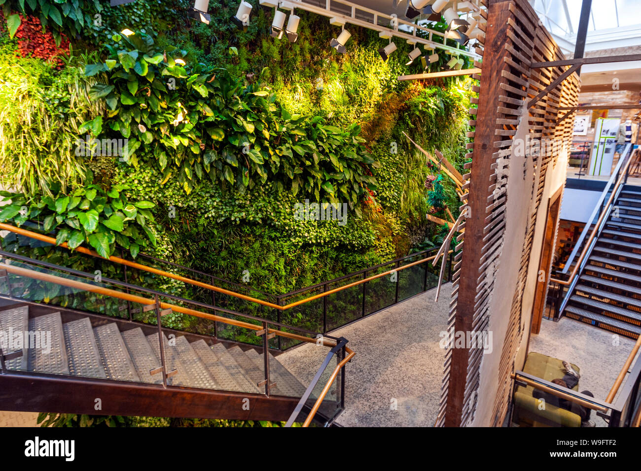 Vertical garden plants in Anthropologie on Regent Street, London