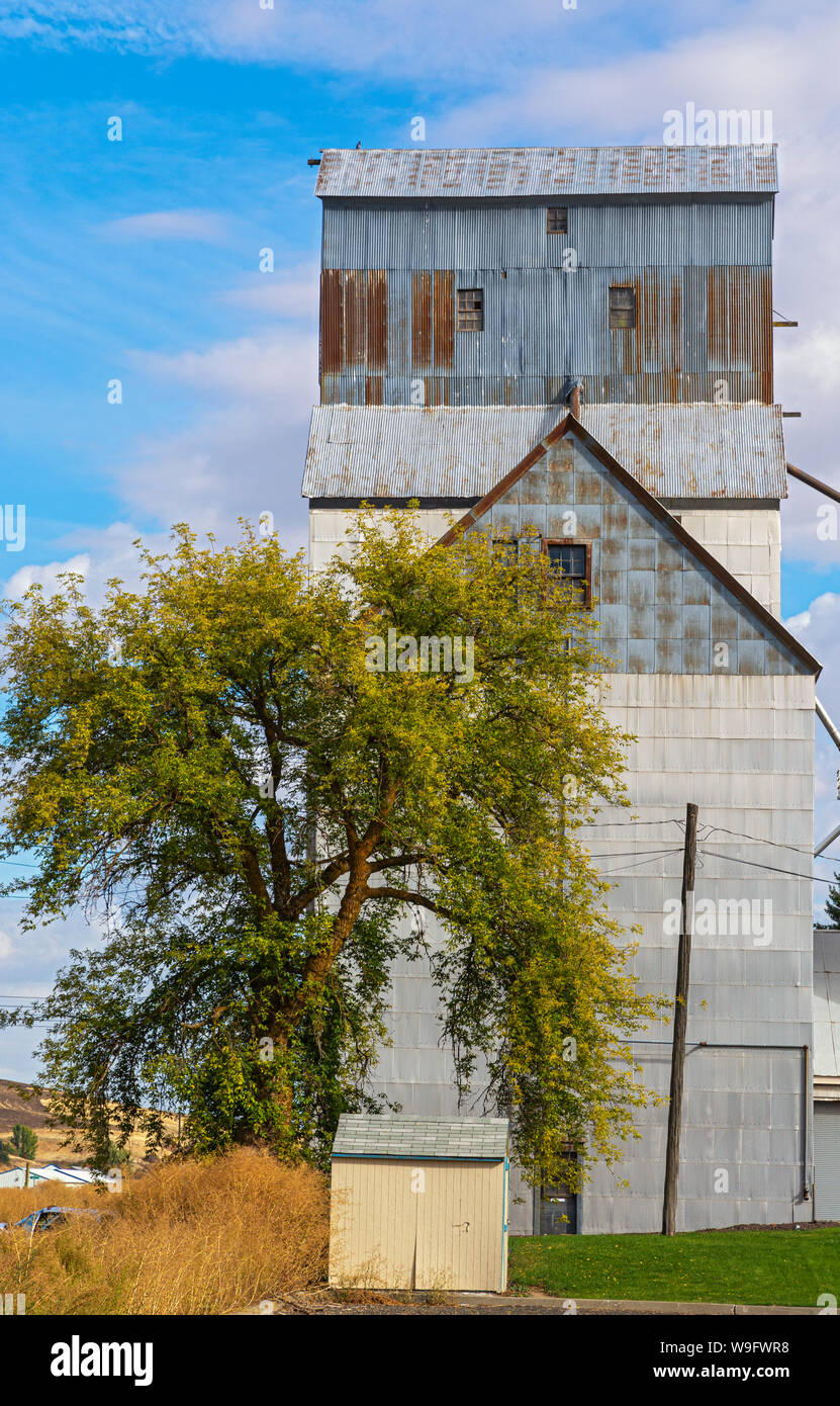 Washington, Palouse Region, Rosalia, grain elevators Stock Photo Alamy