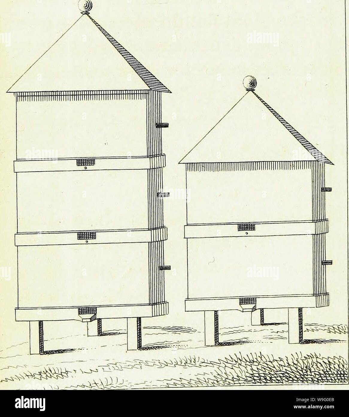 Archive image from page 86 of Traité sur le gouvernement des. Traité sur le gouvernement des abeilles CUbiodiversity1178837 Year: 1816 ( jV. 4- faye- yo Stock Photo