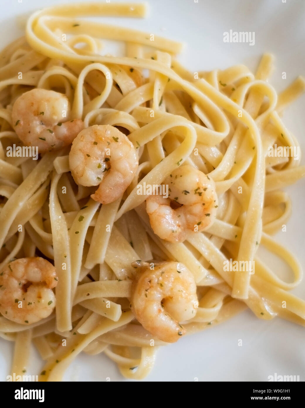 Shrimp scampi a garlic seasoned shrimp in butter, served on fettuccine  pasta. White plate, closeup. USA. Stock Photo