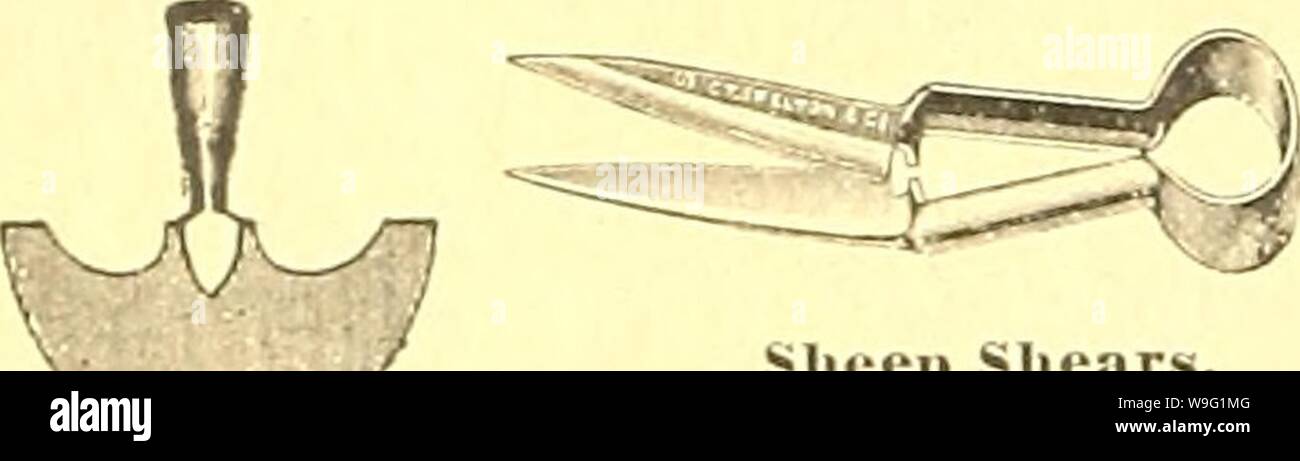 Archive image from page 93 of Currie's farm and garden annual. Currie's farm and garden annual : spring 1920 45th year  curriesfarmgarde19curr 3 Year: 1920 ( (;r:iss Edging Knife. Complete w i t h handle. 9-inch, $1.40. Sheep Shears. Also used in edging lawns. Price, $1.25. Gras.s Hooks (Sickles) â Eng- lisli. 75c. Scythe Stone.sââ 'Blue Grit,' im- '&gt;orted, 25c. GARDEN HOSE. Square Deal, &gt;Iolded. Cannot kink. Absolutely guaranteed against defects in manufacture. Cut to order, any length up to 500 feet, -inch, per foot, 22 c. 'Reelo' â Molded, 94-inch, per foot, ISVoc. Hose NozzleâGe Gem Stock Photo