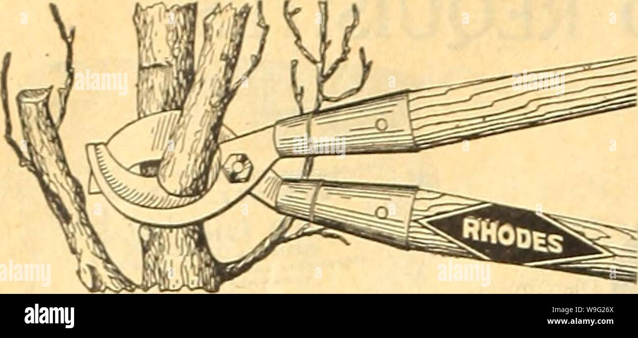 Archive image from page 95 of Currie's farm and garden annual. Currie's farm and garden annual : spring 1918 43rd year  curriesfarmgarde19curr 1 Year: 1918 ( 90 CURRIE BROTHERS COMPANY, MILWAUKEE, WIS.    Rhodes Double Cut Pruners. The most powerfuJ pruner made. The only Pruning Shear made that cuts from both sides of the limb and does not bruise the bark. Made in four lengths, 20, 26, 30 and 36 inch. Price $3.00. Stock Photo