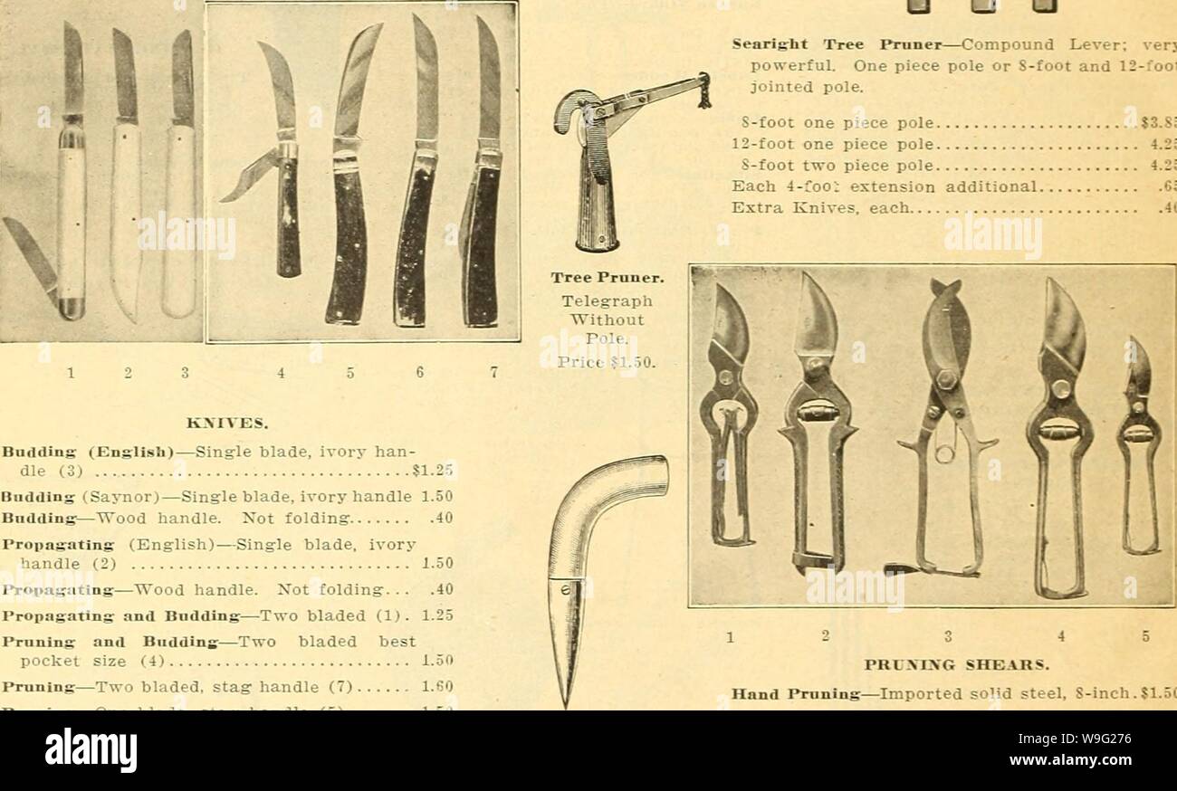 Archive image from page 95 of Currie's farm and garden annual. Currie's farm and garden annual : spring 1919 44th year  curriesfarmgarde19curr 2 Year: 1919 ( Searight Tree Pruner—Compound Lever; very powerful. One piece pole or S-foot and 12-foot jointed pole. S-foot one piece pole $3.85 12-foot one piece pole 4.25 S-foot txvo piece pole 4.25 Each 4-roo'; extension additional C5 Extra Knives, each 40    KXIVES. Budding (English)—Single blade, ivory han- dle (3) $1.25 Budding (Savnor)—Single blade, ivory handle 1.50 Budding—Wood handle. Not folding 40 Propagating (English)—Single blade, ivory h Stock Photo