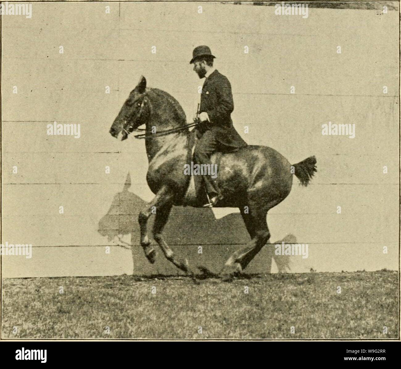 Archive image from page 98 of Curb, snaffle, and spur . Curb, snaffle, and spur : a method of training young horses for the cavalry service, and for general use under the saddle  curbsnafflespu00ande Year: 1894 ( The Gallop. — The Gallop Changes. 93 turning from a circle on one hand to a circle on the other hand, taking care that the change is made as the turn to the other hand is demanded; for, in turning abruptly from a circle on one    GALLOP CHANGES. FRO.M RIGHT TO LEFT. hand to a circle on the other, the horse will often try to begin the change with the fore legs, and this is not only a f Stock Photo