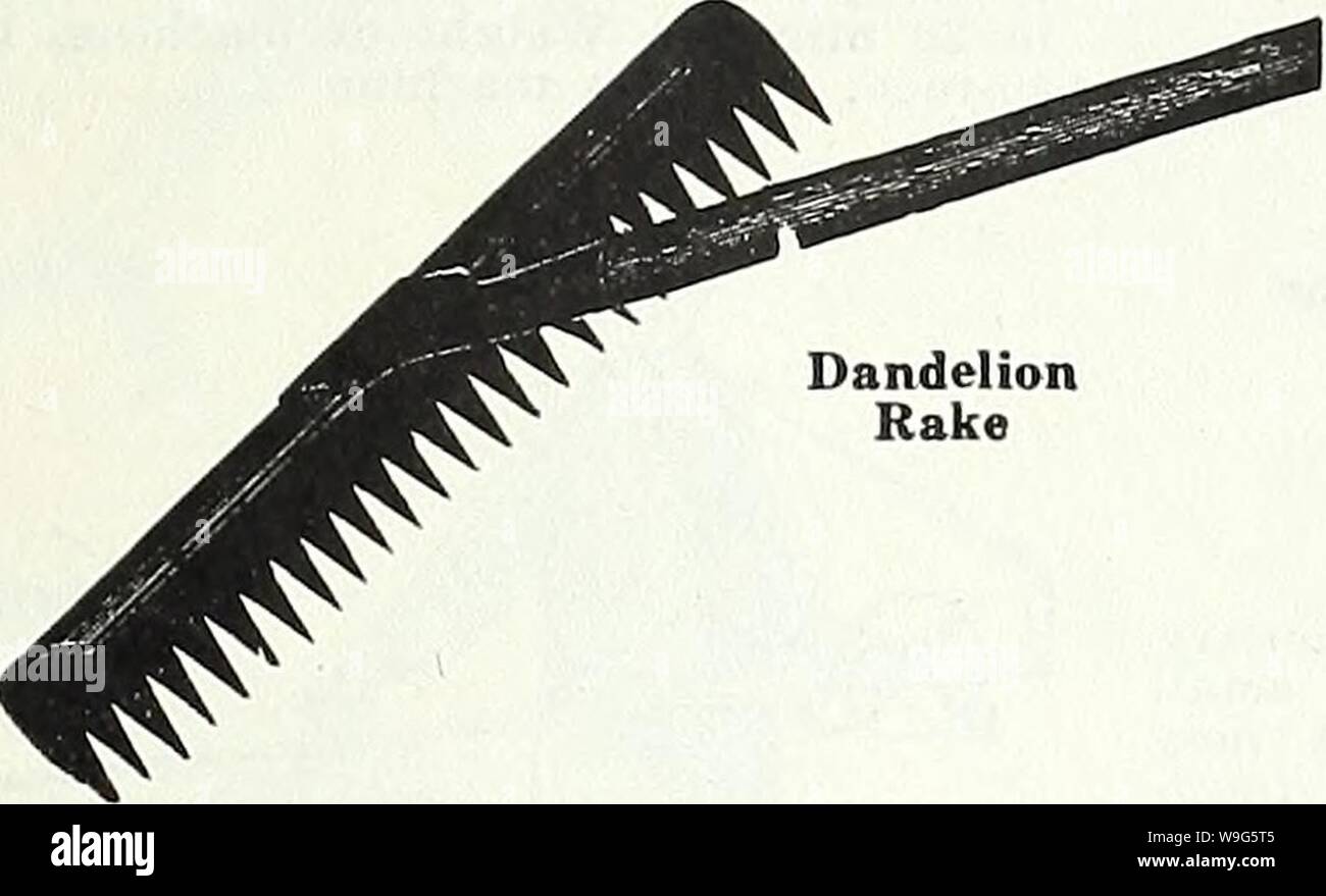 Dandelion rake sale