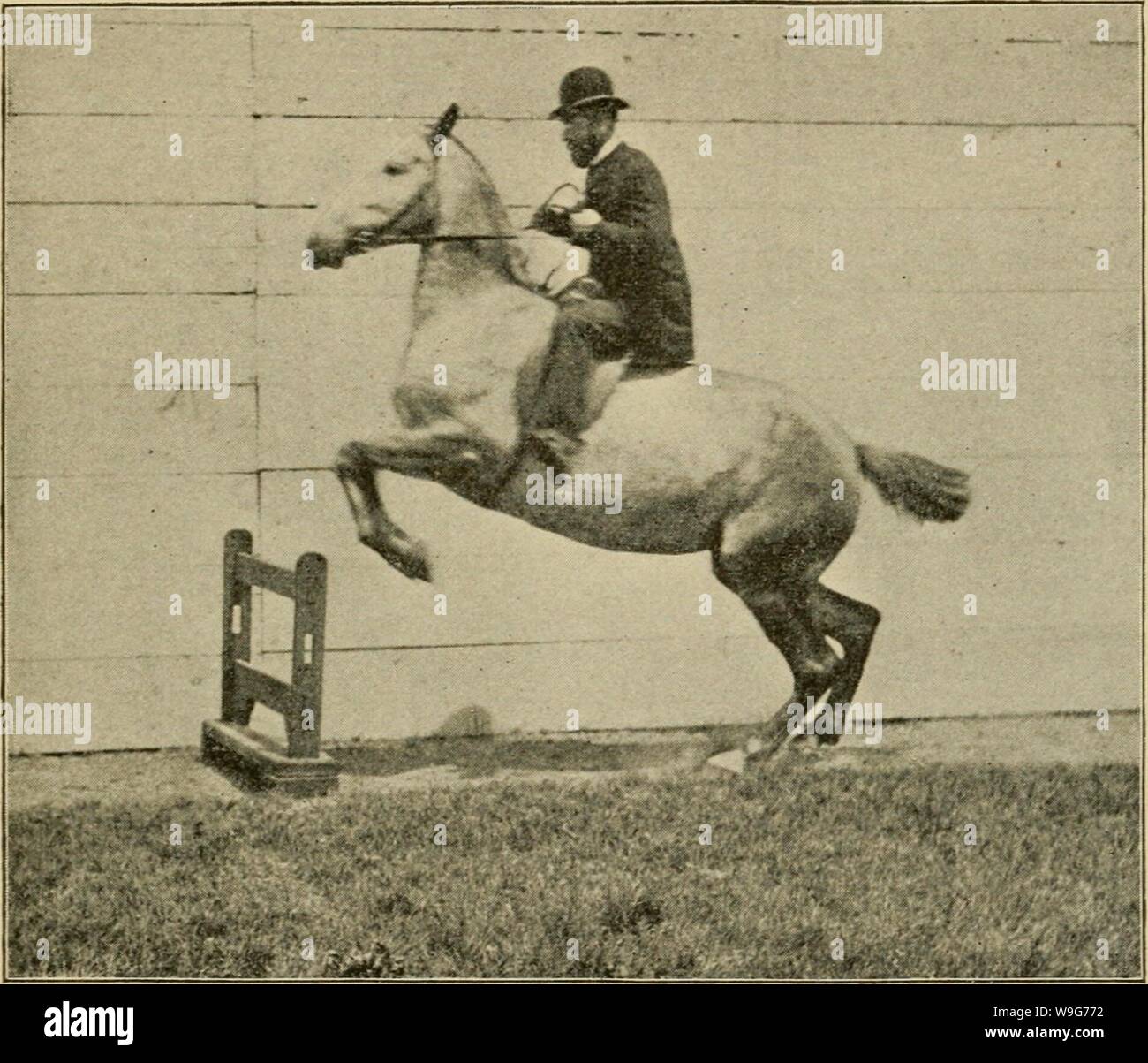 Archive image from page 128 of Curb, snaffle, and spur . Curb, snaffle, and spur : a method of training young horses for the cavalry service, and for general use under the saddle  curbsnafflespurm00ande Year: 1894 ( Jumping, 123 impede the horse in its efforts to land safely, and yet if the horse seeks some support it must find it. Should the horse ever refuse a leap, or get into the habit of jumping carelessly, it should be    THE FIRST LEAP OF A YOUNG HORSE, put back to the early lessons. But it will be the fault of the rider if a horse once properly trained ever becomes disorderly in leapin Stock Photo