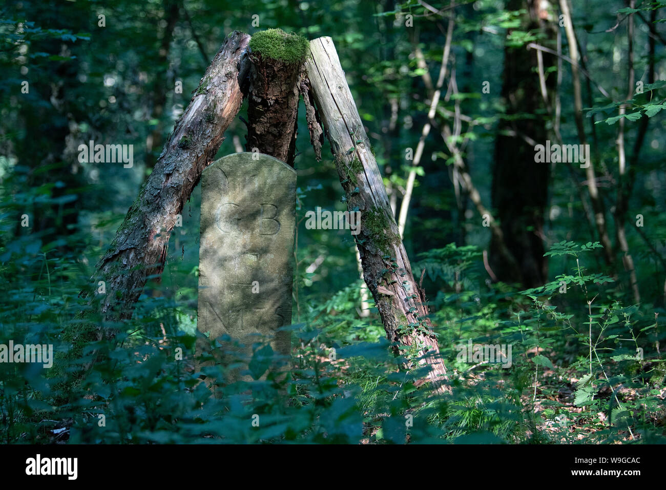 Eppingen, Germany. 24th July, 2019. An old boundary stone stands on the former border between Baden and Württemberg. (to dpa: 'Border town Eppingen - a mayor for Badener and Württemberger') Credit: Sebastian Gollnow/dpa/Alamy Live News Stock Photo