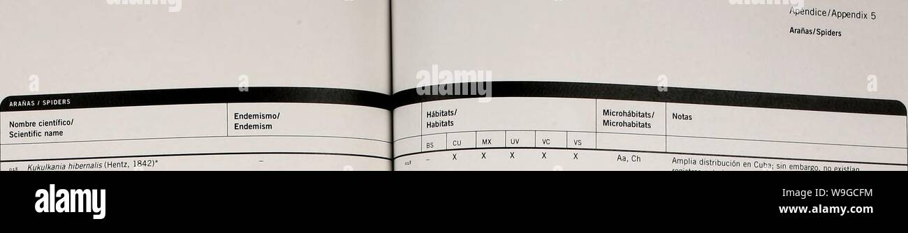 Archive image from page 180 of Cuba  Siboney-Juticí (2005). Cuba : Siboney-Juticí  cubasiboneyjutic00fong Year: 2005 ( Apéndice/Appendix 5 Arañas/Spiders Apéndice/Appendix 5 Arañas/Spiders    Gnaphosidae Gnaphosa sp.' LinyphÜdae OH Florinda coccínea ÍHentz. 1850) Lycosidae Arctosa fusca (Keyserling, 1876) Lycosa isolate Bryant, 1940 Miturgidae Strotarchus nebulosusSmor, 1888 Oecobius concinnusSmon, 1893' Oonopidae Oonopoides pitosus Dumitresco & Georgesco, 1983 LEYENDA/LEGEND Endemismo/Endemism C = Endémico de Cuba/ Endemic to Cuba L = Endémico local (conocido sólo de la localidad tipo}/Loc Stock Photo