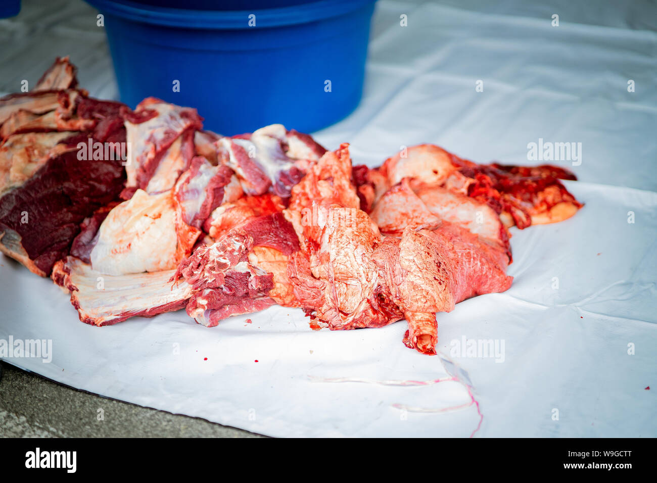 Raw meat from animal slaughtering performed on one to third day of Hari Raya Aidil Adha in Malaysia. Stock Photo