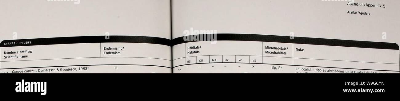 Archive image from page 184 of Cuba  Siboney-Juticí (2005). Cuba : Siboney-Juticí  cubasiboneyjutic00fong Year: 2005 ( Apéndice/Appendix 5 Ara ñas/Spiders Apéndice/AppendixS Arañas/Spiders    0,0 Oonops minutas Dumitresco & Georgesco. 1983 o„ Stenoonops hofffXhickering, 1969 Oxyopidae Hamataliwa rana {Simon. 1897) 04) Peucetia viridans (HenXz, 1832) Pholcidae Bryaníina sp. Mod/s/mtys paWdus Bryant, 1940 047 Physocyclus globosus (Taczanowski, 1873) Sallicidae Corythalia cubana (Roewer, 1951) Menemerus bivittatus (Dufour, 1831) Paraphidippus aurantius (Lucas, 1833) LEYENDA/LEGEND Endemismo/Endem Stock Photo