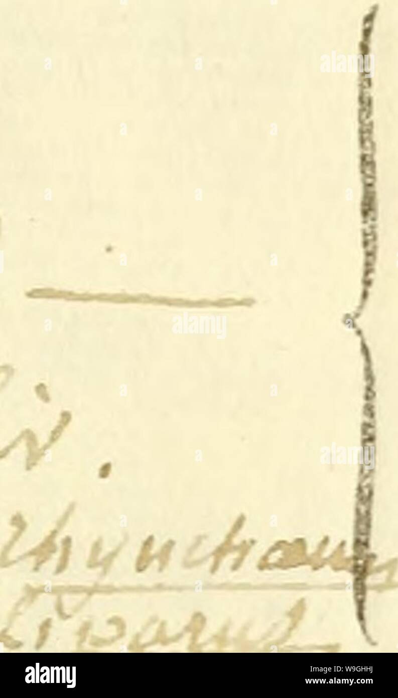 Archive image from page 238 of [Curculionidae] (1800). [Curculionidae]  curculionidae01stur Year: 1800 ( CLASS. £i&gt;1 , ORD. Co/UO J-l- CuCuJitUkf GEN. A iuzcuUto ?!m,l«iUf?    S P E C I E S, 2 / 5 MOfCû ' HuÀ cù/uXui f . 5 'i/W c&gt;/—f. 8 pi-jîtÙ. â   f. 12 :H.  £  ii.° n.° n.° 11.° 11.° n.° n.° n.° ii.° ii.° pul- f.&gt;itn. l4 ùjlUiJu jbOM'-A.iSTl, i5 pocAîu&gt;f./Ui-'lJl'&gt; '4( 'fi iG 17 18 19 :20 ai 22 24 25 n. n.o n.o n.° n.o n.° n.o ii.° n.° 11.° 26 27 28 29 5o 3i 02 35 Si 55 56 7 58 9 4o 4i 42 45 44 45 46 47 48 49 5o Sjnonymîa n.° n.° ii.o n.° n.° n.° n.o n.° n.° n.° n.° n.° n.° n Stock Photo
