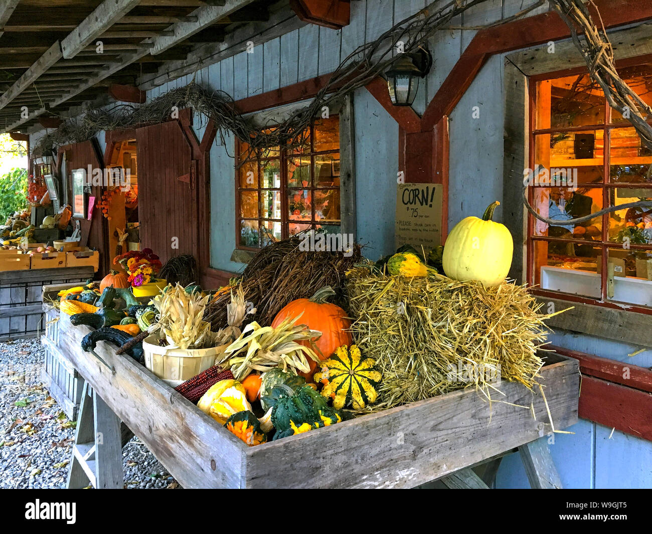 Manchester-by-the-Sea, Mass / USA - Oct 18, 2018: Charming autumn harvest pumpkin display at a New England farm stand. Fresh produce is grown locally. Stock Photo