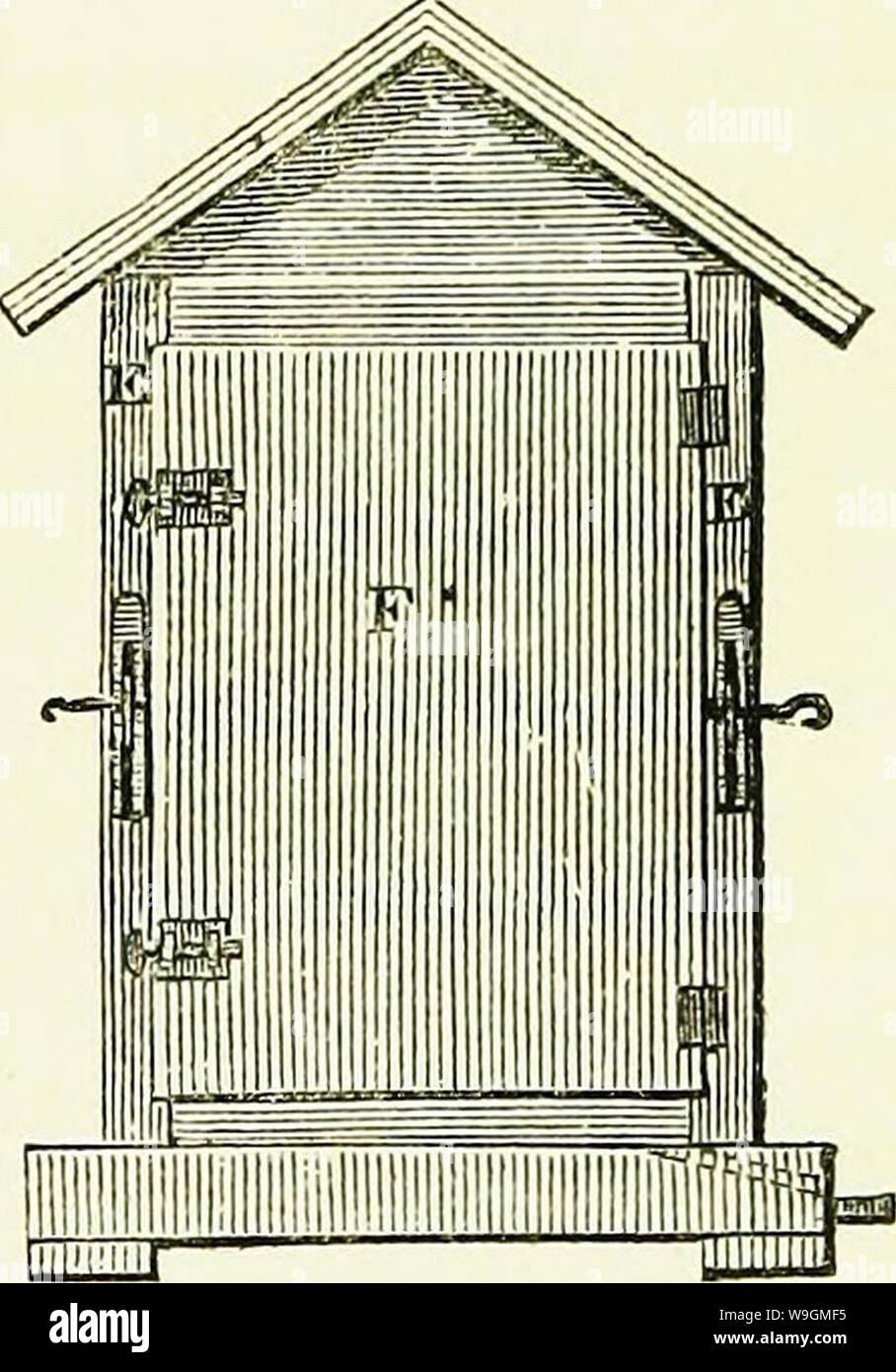 Archive image from page 286 of Bees their natural history and Stock Photo