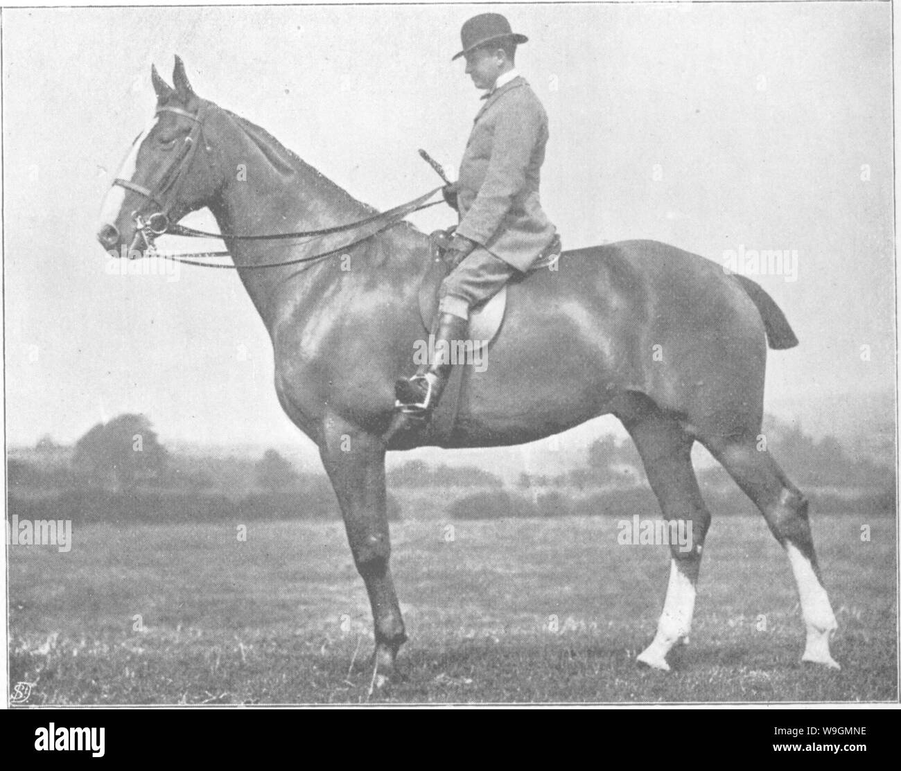 Archive image from page 289 of Points of the horse; a Stock Photo