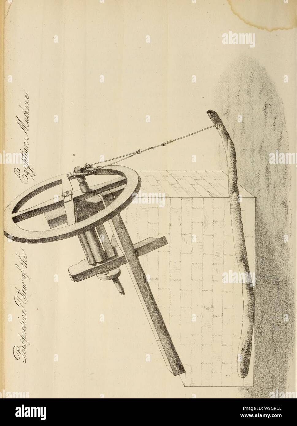 Archive image from page 329 of Culture and manufacture of cotton. Culture and manufacture of cotton wool ..  culturemanufactu00east Year: 1836 ( Stock Photo