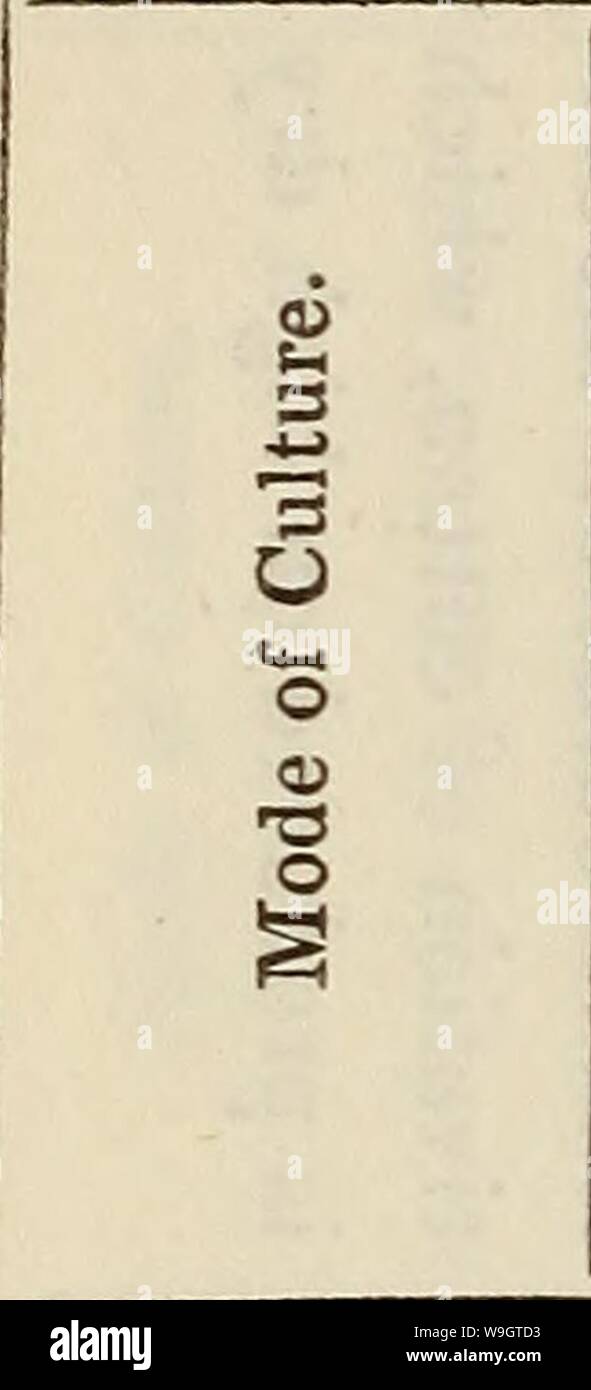 Page 2 Qj G High Resolution Stock Photography And Images Alamy