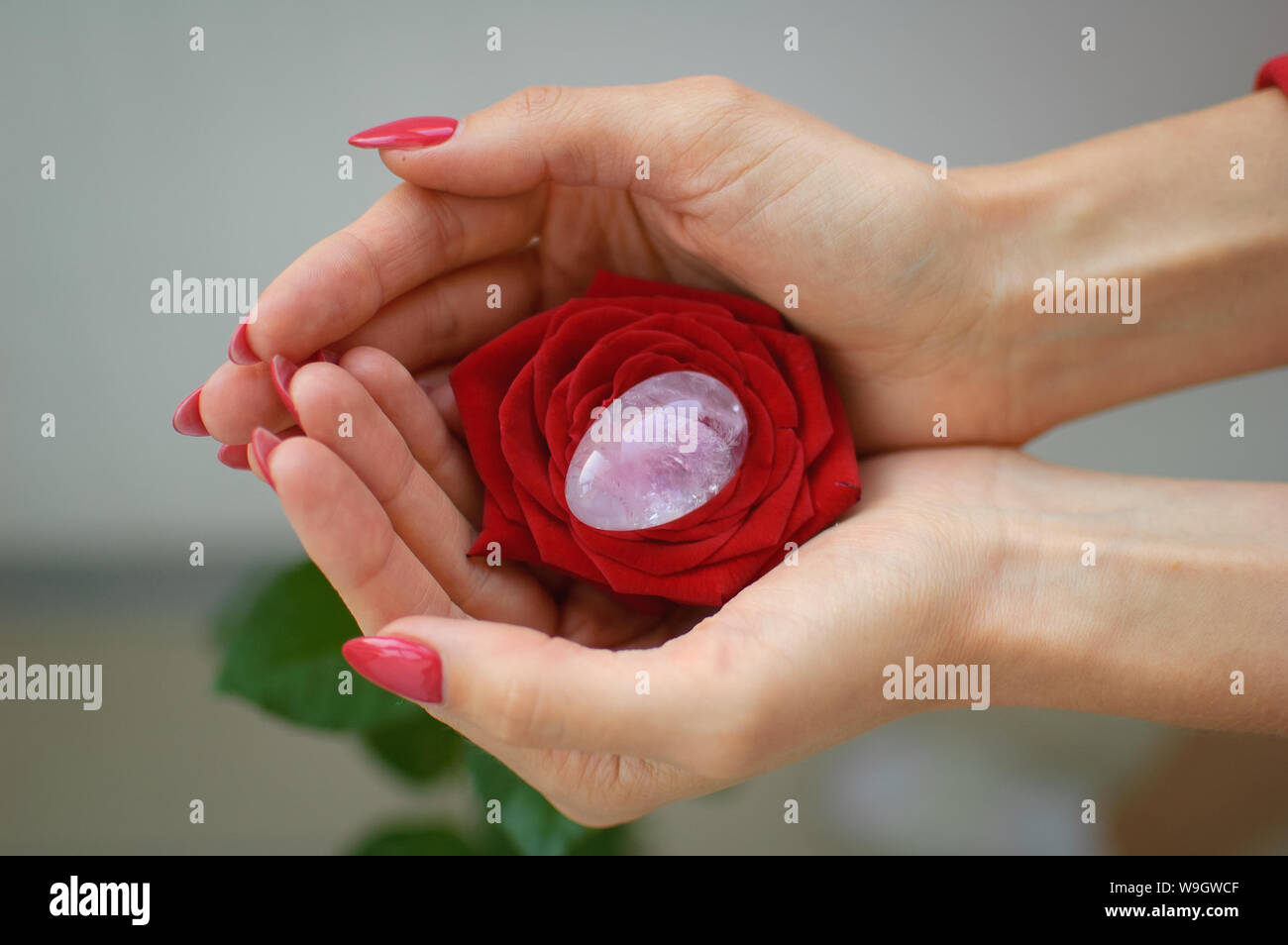 Female hands with manicure holding a yoni egg and red rose. The flower