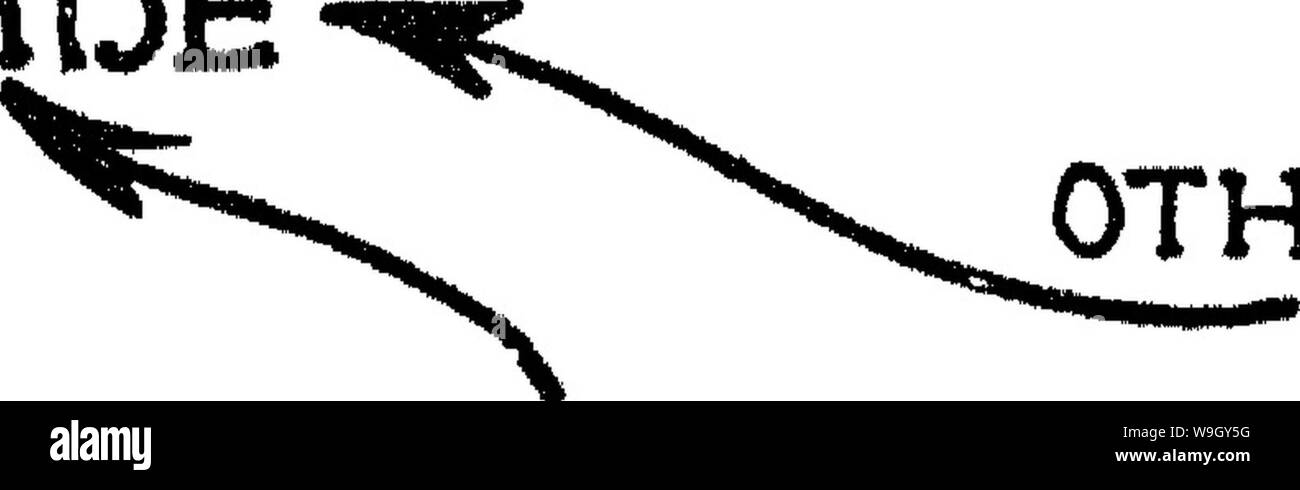 Archive image from page 410 of The nature and properties of Stock Photo