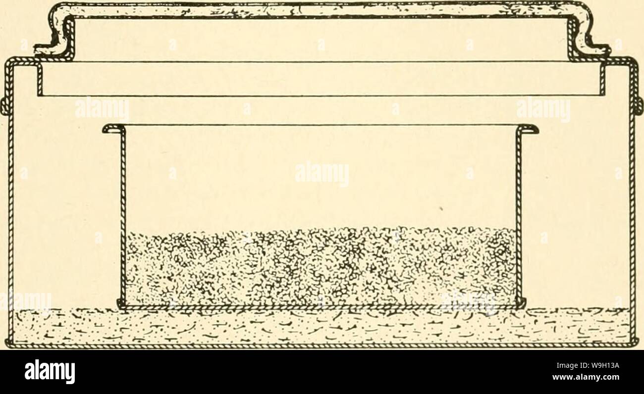 Archive image from page 454 of Culture methods for invertebrate animals;. Culture methods for invertebrate animals;  culturemethodsfo00galt Year: 1959 ( B Fig. 75.—Pans for rearing maggots on autoclaved food. (Sectional draw- ings.) The lid of pan A has large perforations, the center one being fitted with a metal sleeve (s) into which is inserted a metal tube (t); the sleeve is plugged with cotton covered with cheesecloth, and the other perforations are covered with cotton and cheesecloth; d is a crystallizing dish containing the maggots and their food, c. Pan A is preferred in rearing larvae Stock Photo