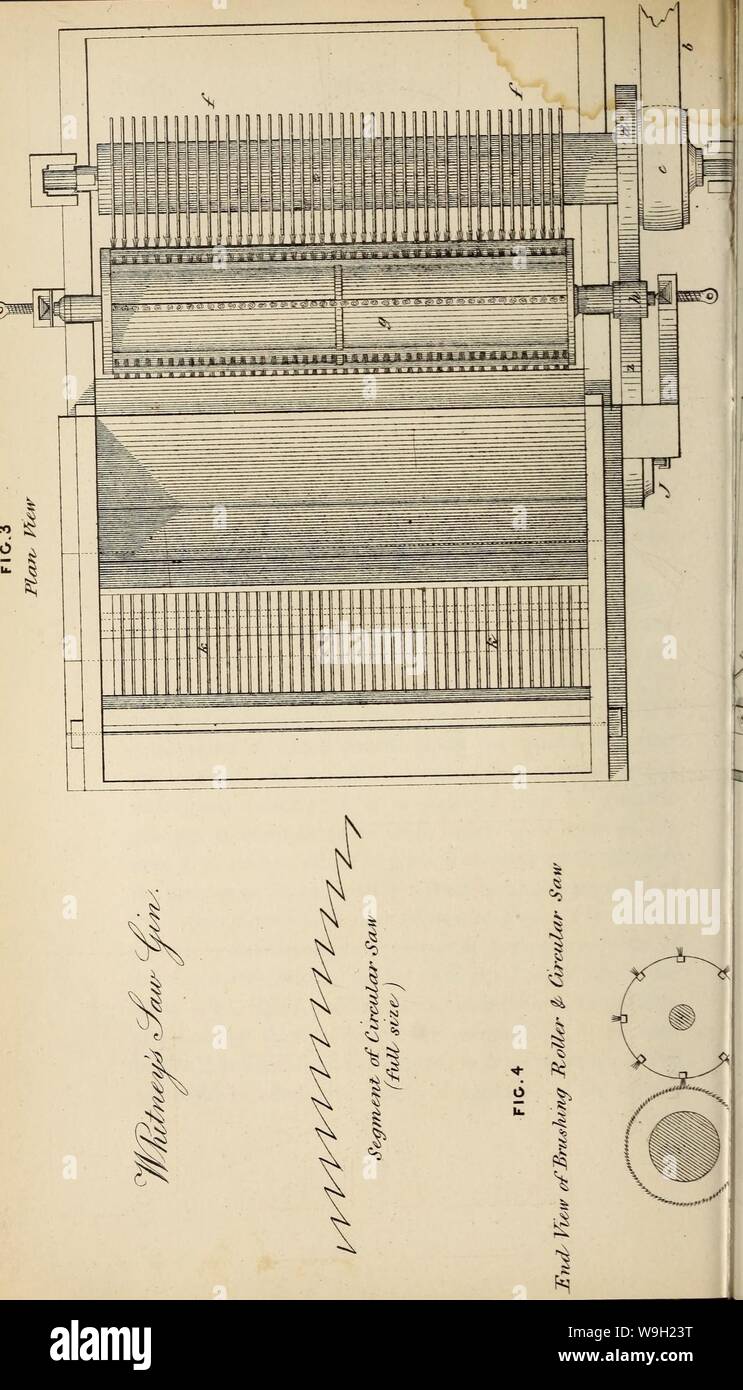 Archive image from page 477 of Culture and manufacture of cotton. Culture and manufacture of cotton wool ..  culturemanufactu00east Year: 1836 ( Stock Photo