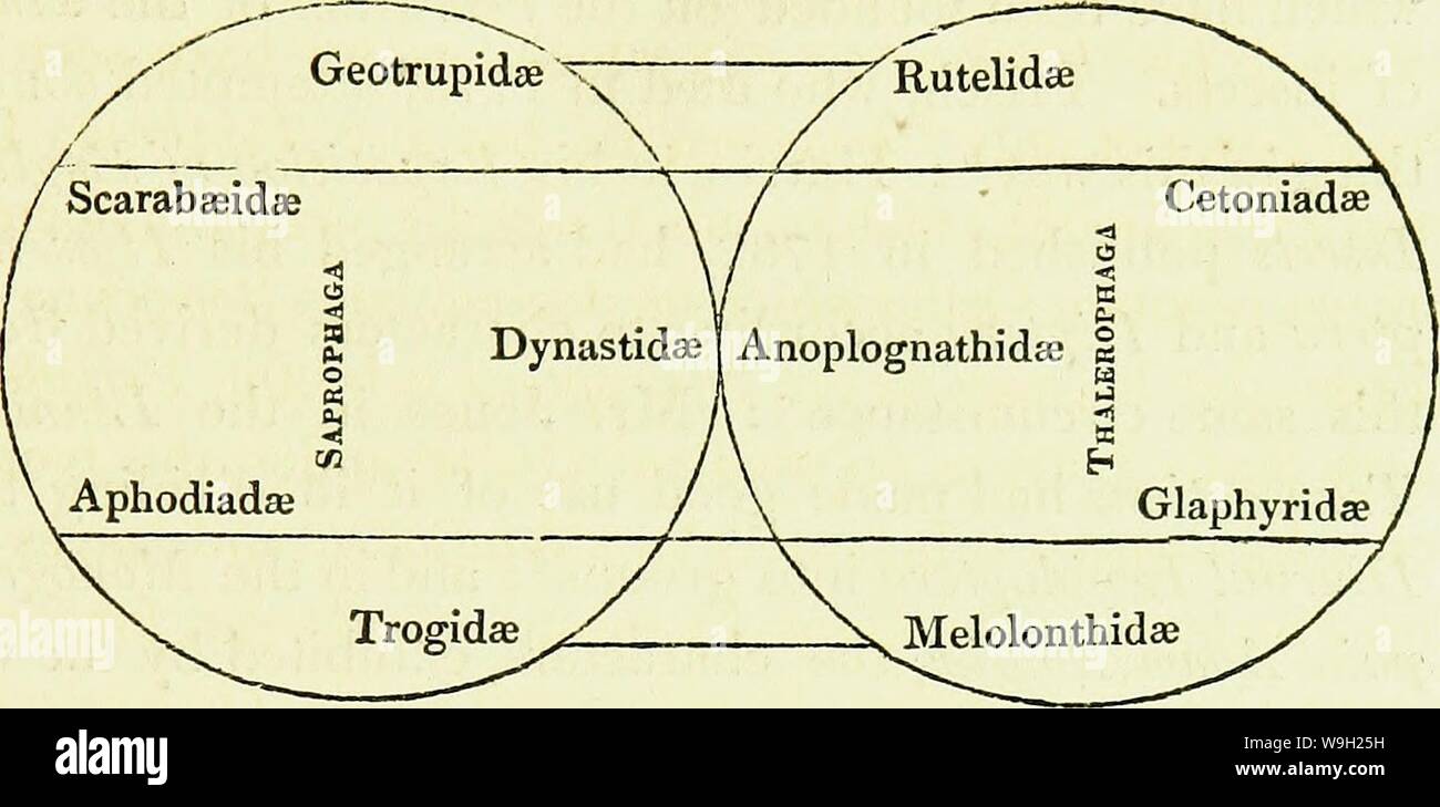 Archive image from page 482 of An introduction to entomology, or, Stock Photo