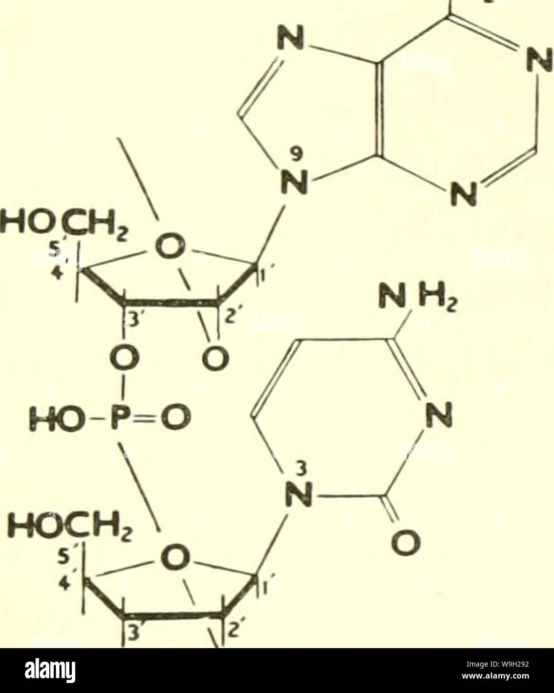Biochemical reference hi-res stock photography and images - Alamy