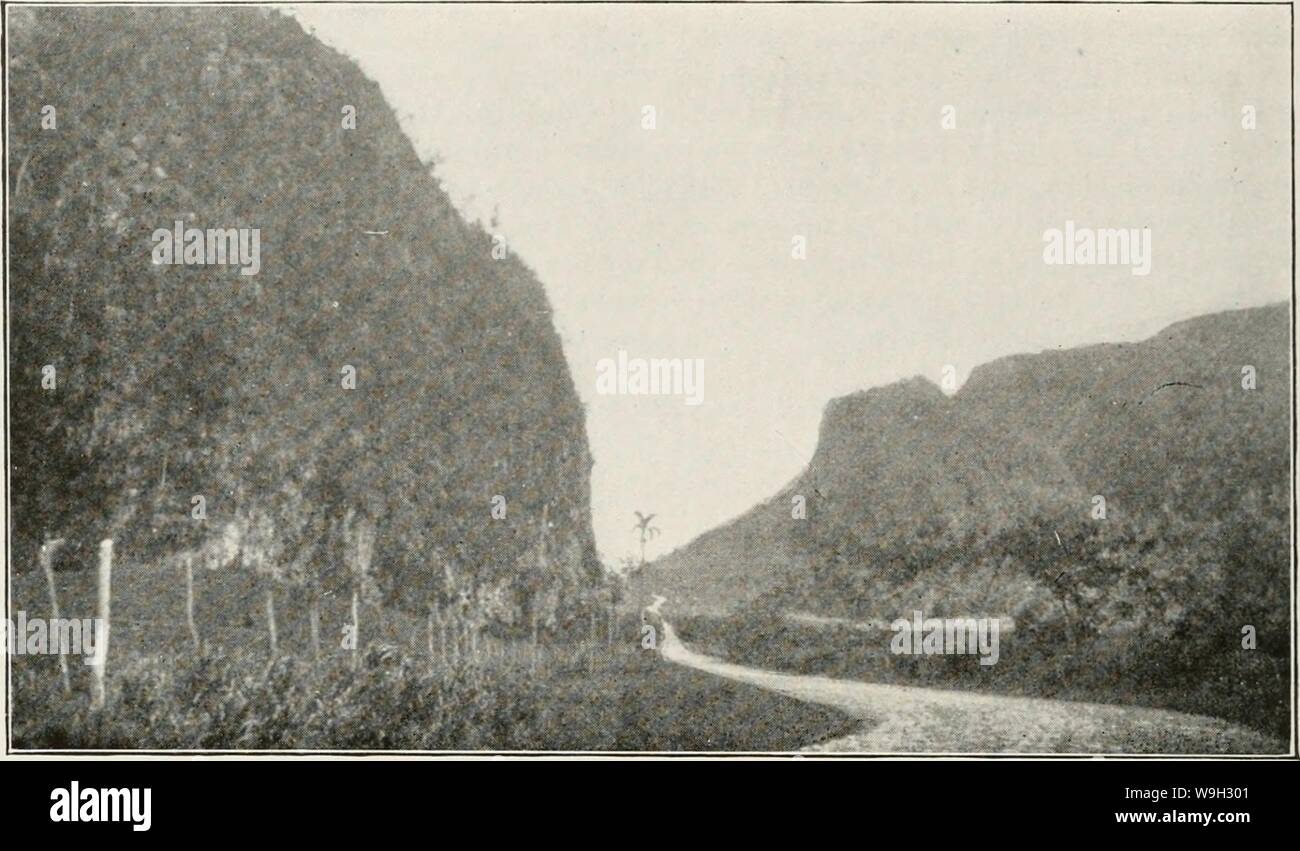 Archive image from page 509 of The Cuba review (1907-1931) Stock Photo