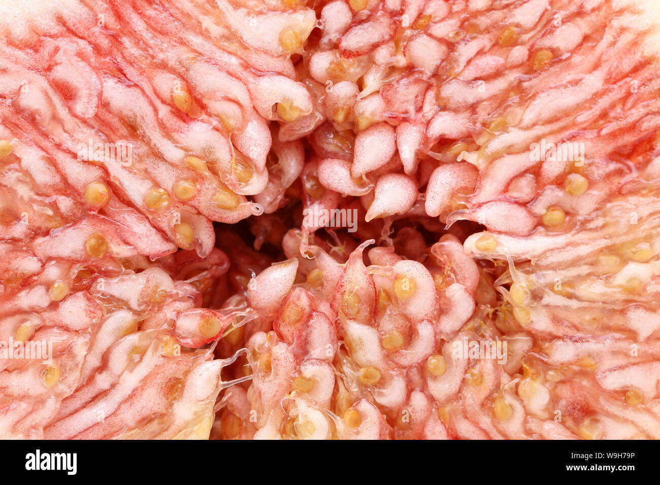 Close up of inside of a ripe sweet fig with its seeds Stock Photo - Alamy