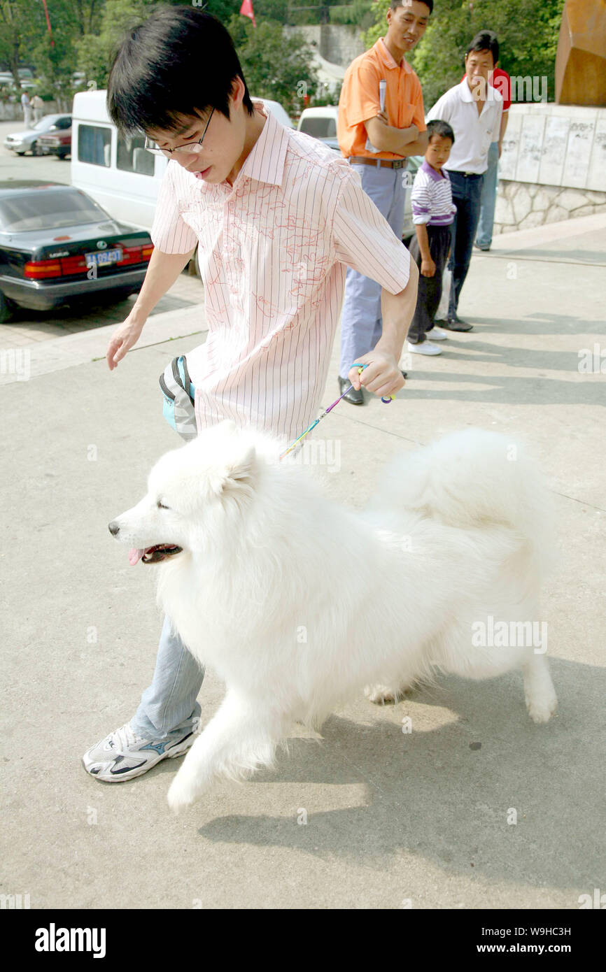 A young man shows his Samoyed dog during the First China Guiyang