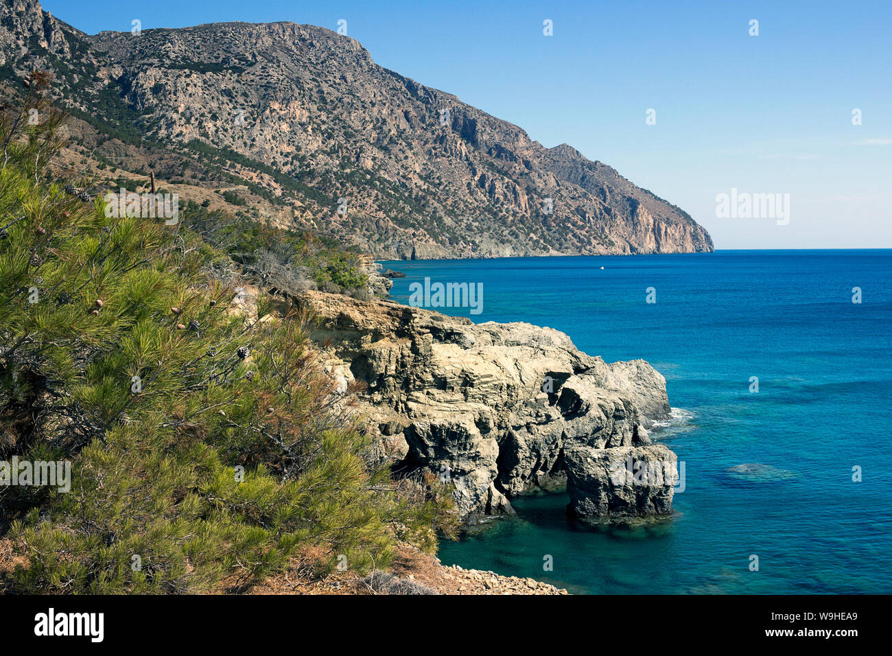 Karpathos island - Vananda coast, beautiful bay surrounded by a pine forest, Aegean sea, Dodecanese Islands, Greece Stock Photo