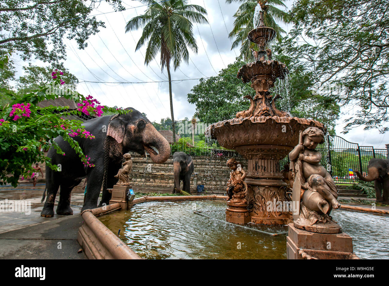 Water fountain sri lanka hires stock photography and images Alamy