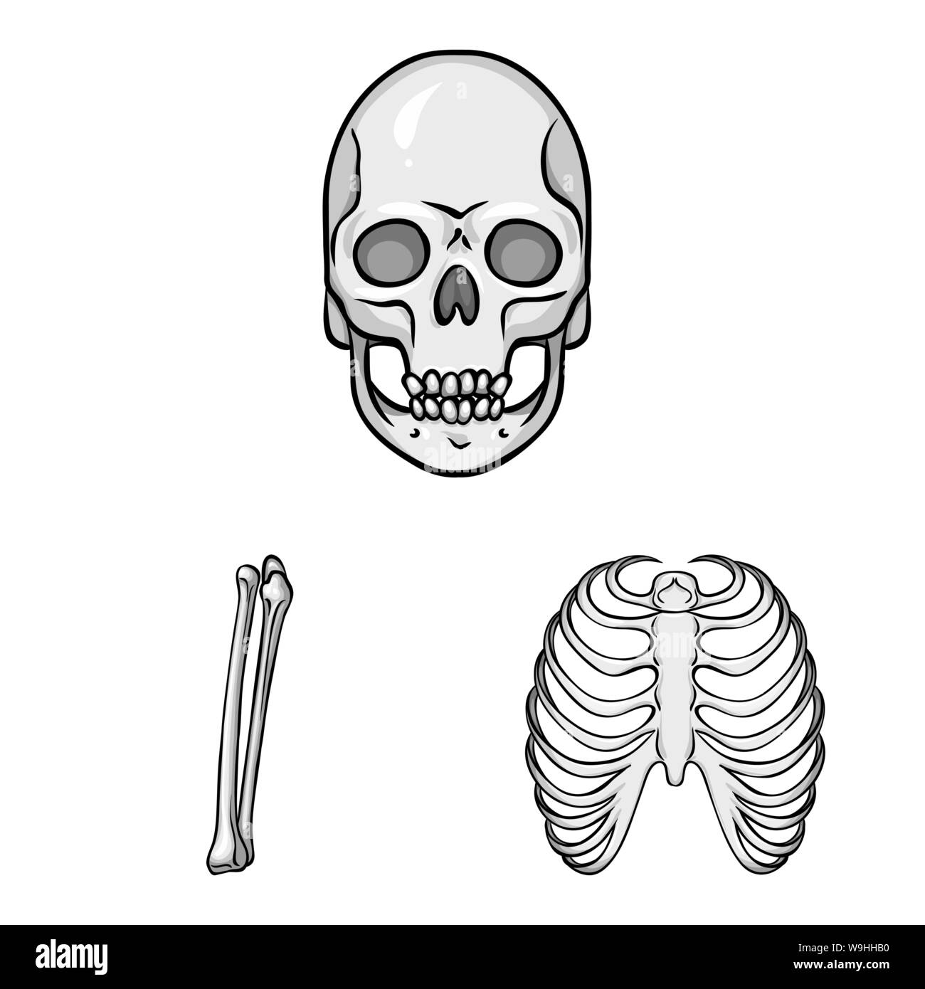 Vector Vectors Stock Vector Image & Art - Alamy