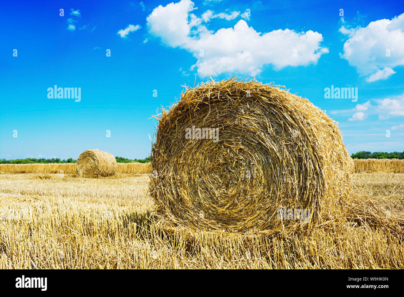 Natural landscape. Field with hay bale under the blue sky Stock Photo ...
