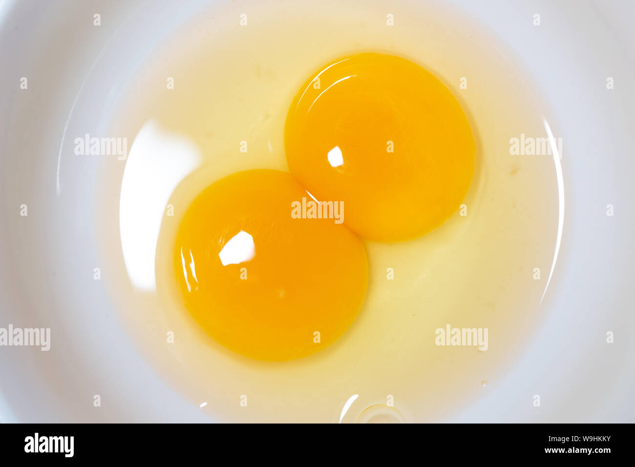 double yolk, strange two yolks in one hen lucky egg Stock Photo Alamy