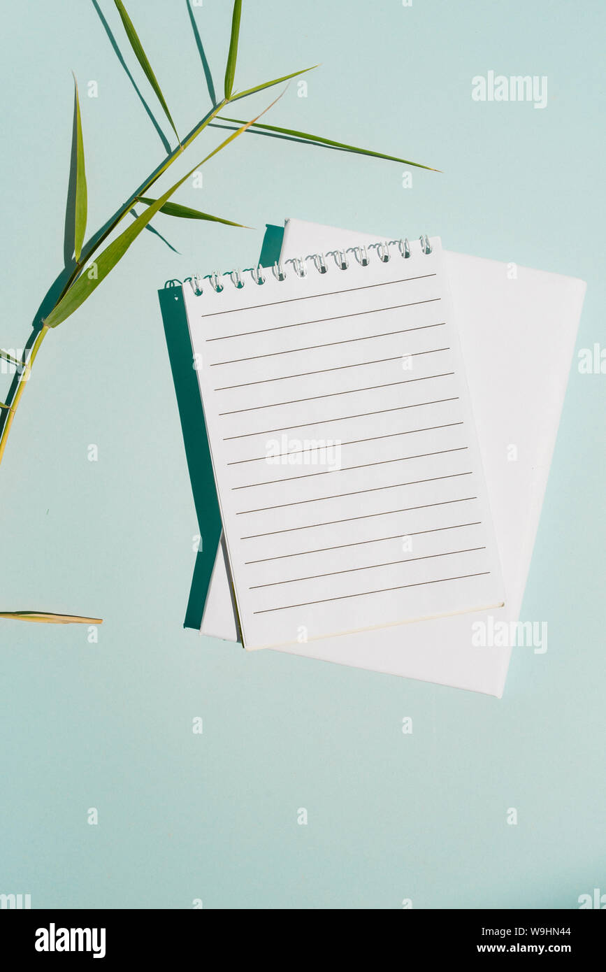 blank notebook with lines, and delicate green leaves that project the shadow of the direct sun. Soft blue background. Stock Photo