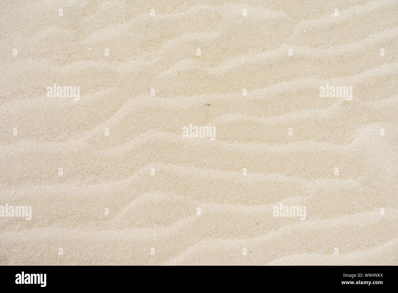 Sandy Wavey Texture The texture sandy surface with a wavy surface formed by wind sand ...