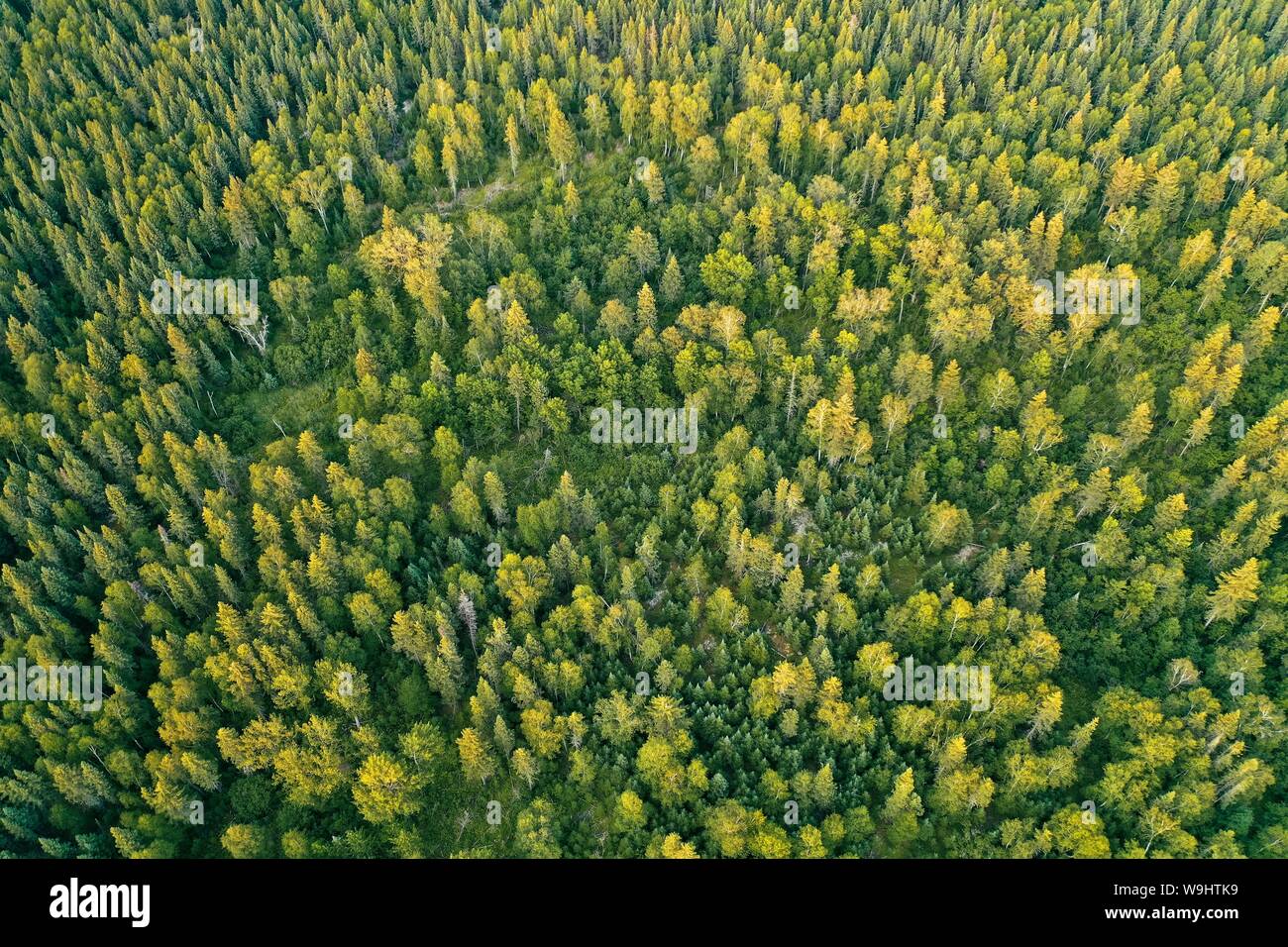 Aerial top down shot deforestation hi-res stock photography and images ...